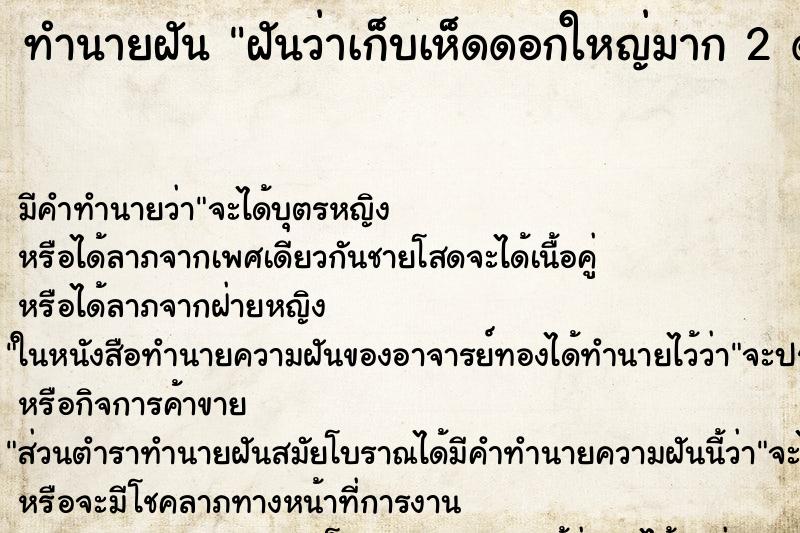 ทำนายฝัน ฝันว่าเก็บเห็ดดอกใหญ่มาก 2 ดอก ทำนายฝัน ฝันว่าเก็บเห็ดดอกใหญ่มาก 2 ดอก